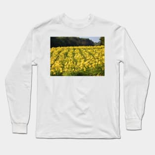 Flowers By The Highway Long Sleeve T-Shirt